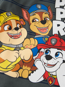 NAME IT Bluse Joshue Paw Patrol Urban Chic